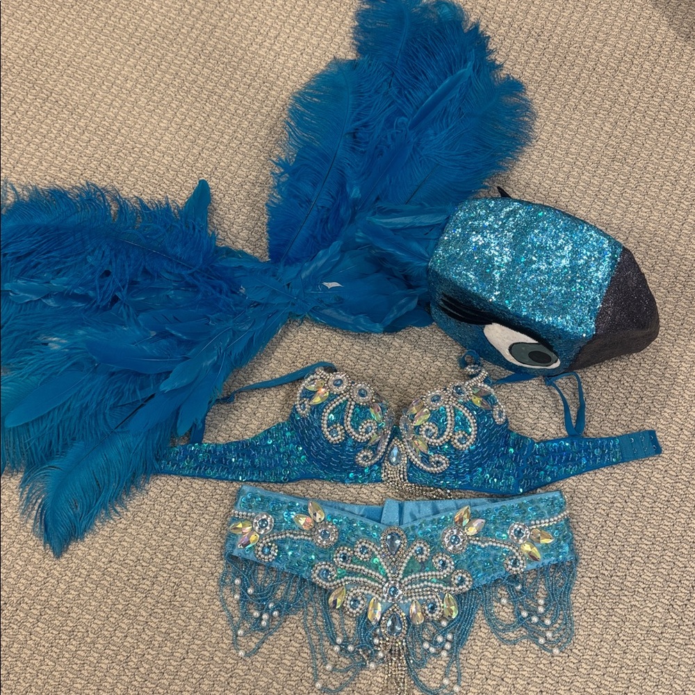 Rio Costume Accessories